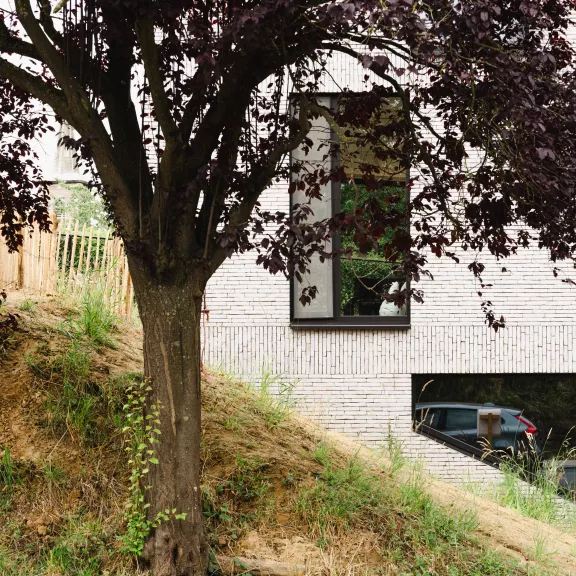 Project Schepdaal