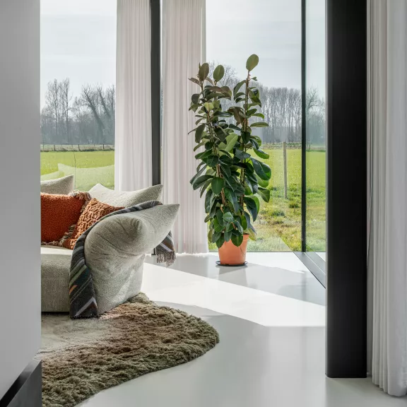 Nieuwbouw in Lede door Den Blauwen Xavier